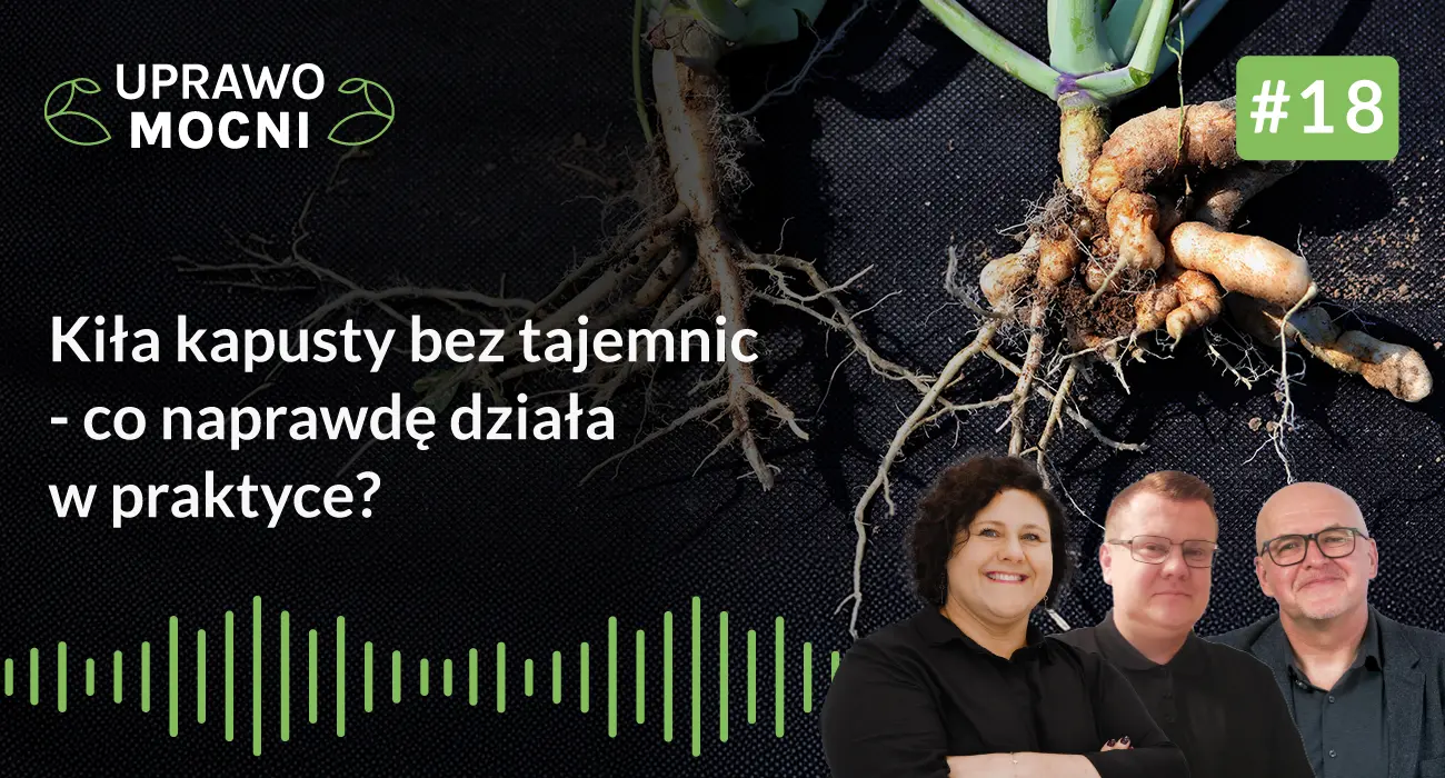 Podcast #UprawoMocni