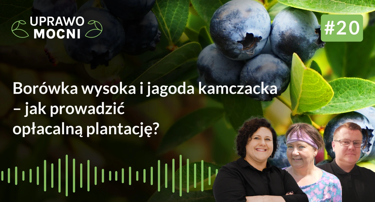 Podcast #UprawoMocni