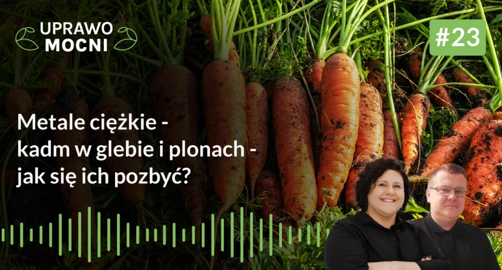 metale ciężkie